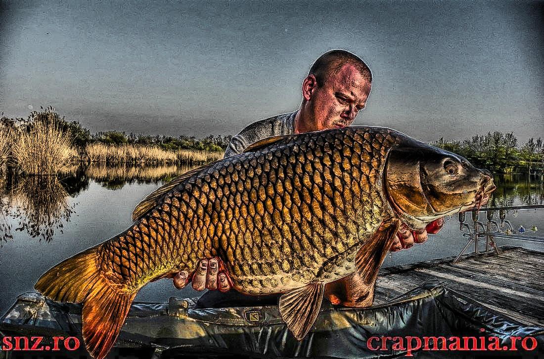 Trofeul Tancabesti (3) - 2013 - 1012367hdrmode2.jpg